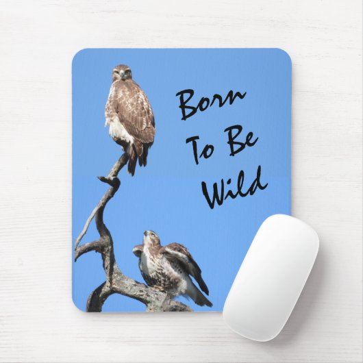 Juvenile Red Tail Hawk Composite Mousepad (Mit Mouse)
