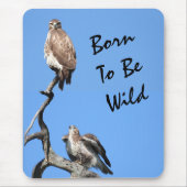 Juvenile Red Tail Hawk Composite Mousepad (Vorne)