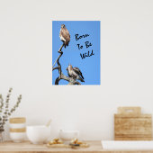 Juvenile Red Tail Hawk Composite Poster (Küche)