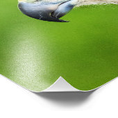 Juvenile Red Tail Hawk Fotodruck (Ecke)