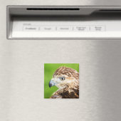 Juvenile Red Tail Hawk Magnet (In Situ (Geschirrspüler))