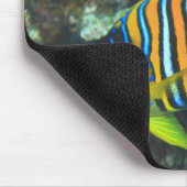 Juvenile Regal Angelfish Pygoplites Mousepad (Ecke)