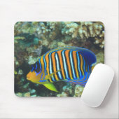 Juvenile Regal Angelfish Pygoplites Mousepad (Mit Mouse)