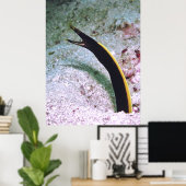 Juvenile Ribbon Eel Poster (Heimbüro)