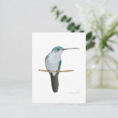 Juvenile Ruby-throated Hummingbird Postkarte (Stehend Vorderseite)