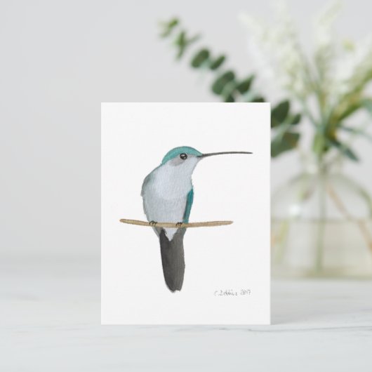 Juvenile Ruby-throated Hummingbird Postkarte (Stehend Vorderseite)