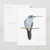 Juvenile Ruby-throated Hummingbird Postkarte (Vorne/Hinten)