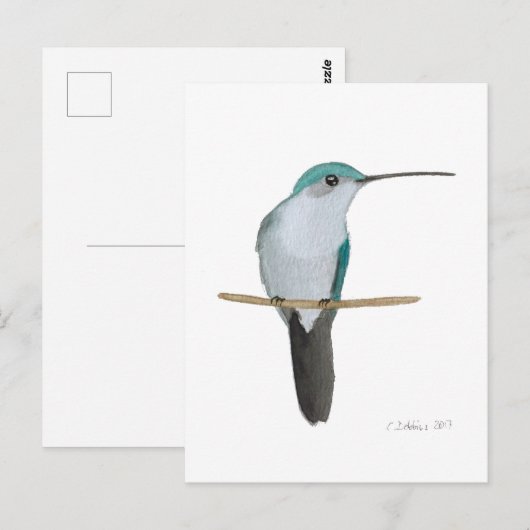 Juvenile Ruby-throated Hummingbird Postkarte (Vorne/Hinten)