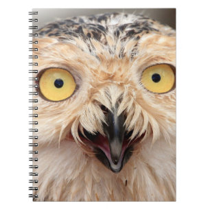 Juvenile Snowy Owl Notizblock