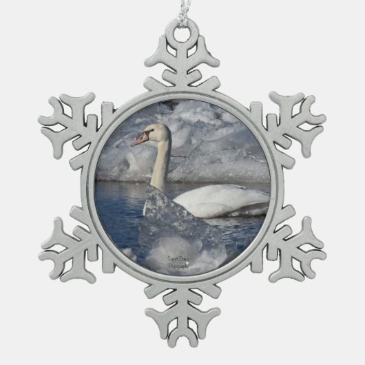 Juvenile Swan im Fluss Icey Schneeflocken Zinn-Ornament (Vorderseite)
