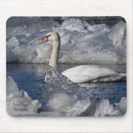 Juvenile Swan in Icey River Mousepad