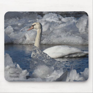 Juvenile Swan in Icey River Mousepad
