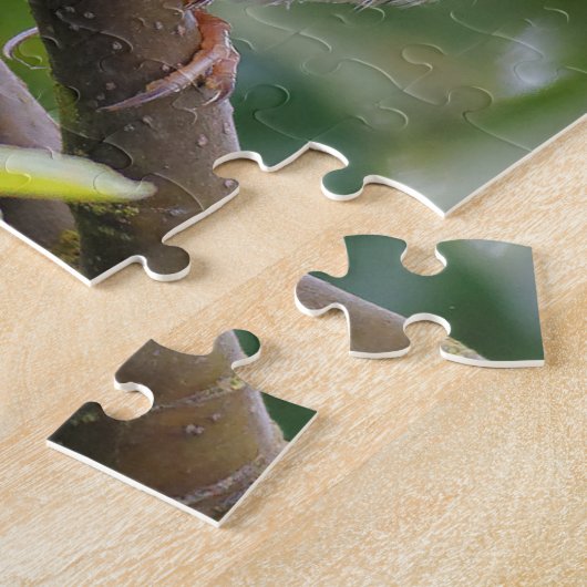 Juvenile Weißkrone Puzzle (Seite)