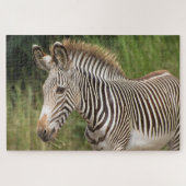Juvenile Zebra Puzzle (Horizontal)