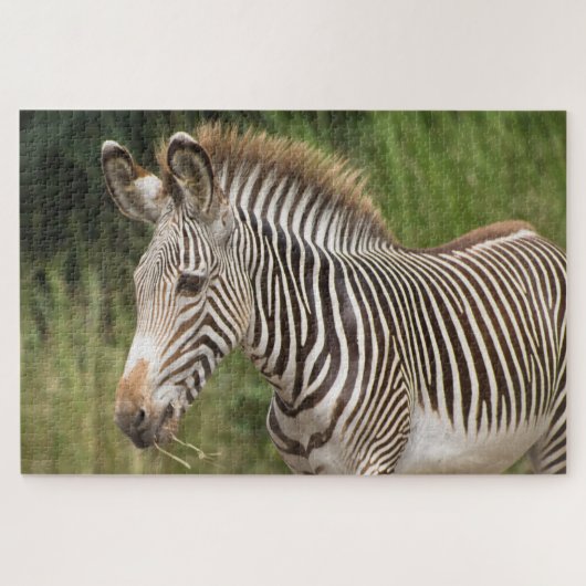 Juvenile Zebra Puzzle (Horizontal)