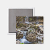 Juwel of Henning Conservation Magnet (Vorderseite/Rückseite)