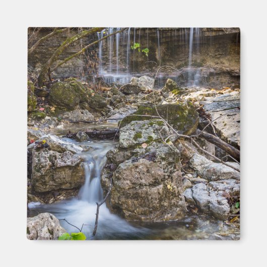 Juwel of Henning Conservation Magnet (Vorne)