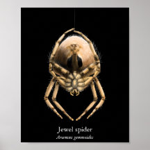 Juwel-Spinnen-Plakat (Halbglanz)