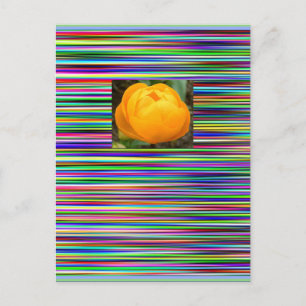 Juwel Stripes TULPE-POSTKARTE Postkarte