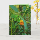 Juwelen Karte (Gelbe Blume)