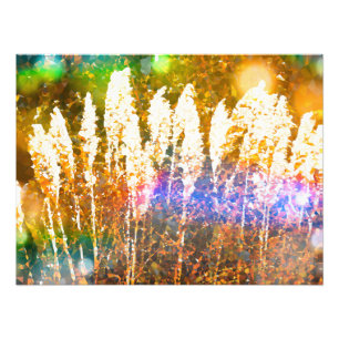 Juwelen-Seegras Fotodruck