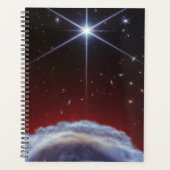 JWST-Bild des Rosshaennebels Planer (Vorderseite)