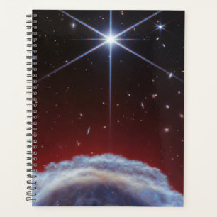 JWST-Bild des Rosshaennebels Planer