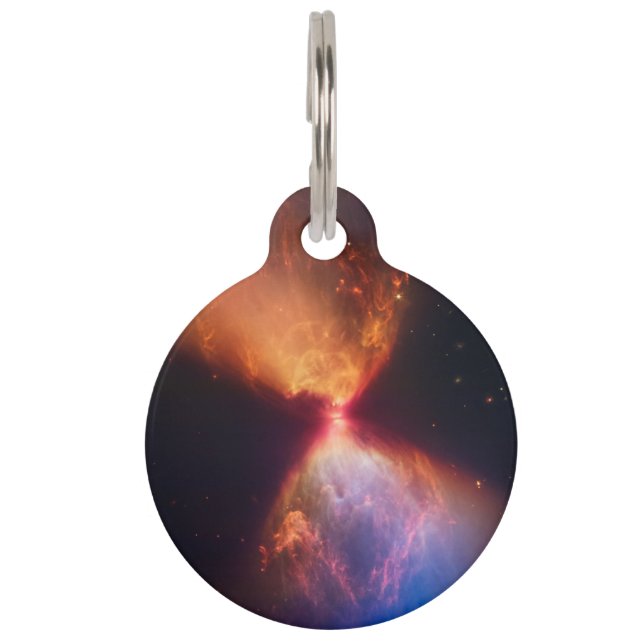 JWST Hourglass Protostar Formation Haustiermarke (Vorderseite)