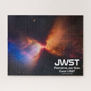 JWST Protostar and Dark Cloud Puzzle
