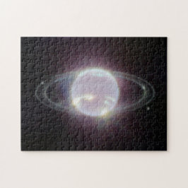 JWST Rings of Planet Neptune Puzzle