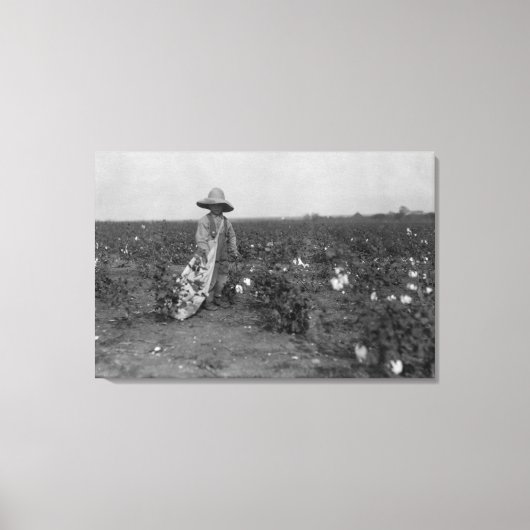 Jy Picking Cotton Fotograph West, Texas Leinwanddruck (Vorderseite)