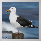 jz.birds Möwe Poster (Vorne)