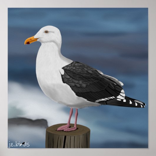 jz.birds Möwe Poster (Vorne)