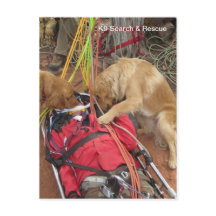 K9 Suche & Rettung?