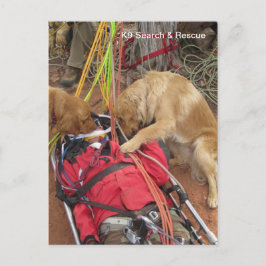 K9 Suche & Rettung? Postkarte