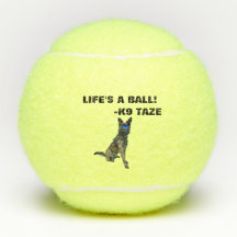 K9 Taze Ball