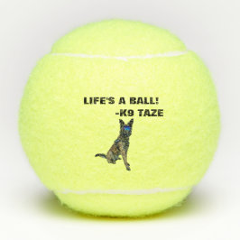 K9 Taze Ball