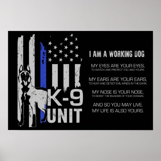 K-9-Einheit - Polizeieinheit - Malinois Poster (Vorne)