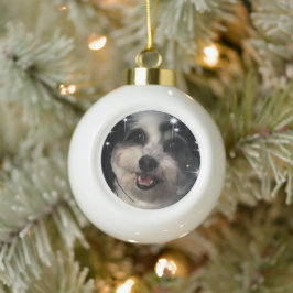 K-Cee Stars Zuchon Hund Keramik Kugel-Ornament