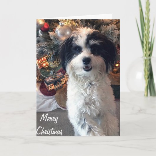 K-Cee Weihnachtskarte, Frohe Weihnachten Karte (Vorderseite)