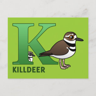 K ist für Killdeer Postkarte
