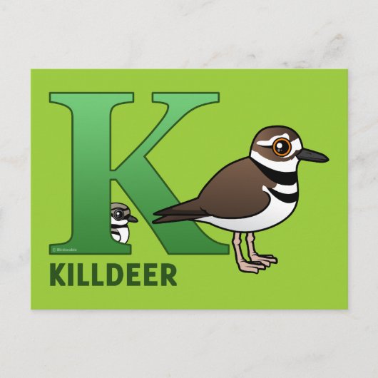 K ist für Killdeer Postkarte (Vorderseite)