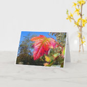 K&K - Sympathy Card Karte (Gelbe Blume)
