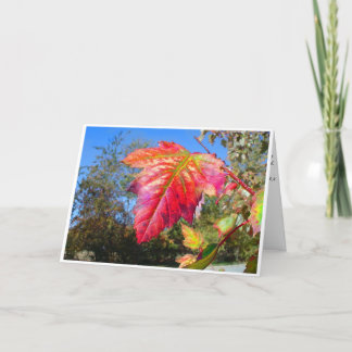 K&K - Sympathy Card Karte