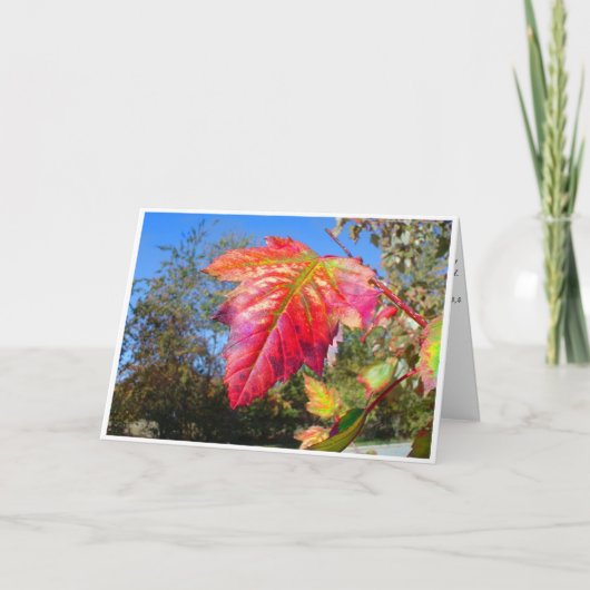 K&K - Sympathy Card Karte (Vorderseite)