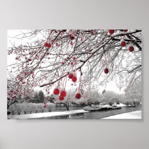 K&K Winter-Beere Poster
