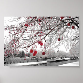 K&K Winter Berry Poster