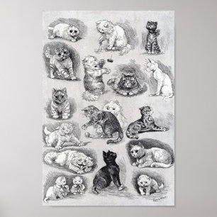 K Katzenleben auf der Katzenausstellung, Louis Wai Poster