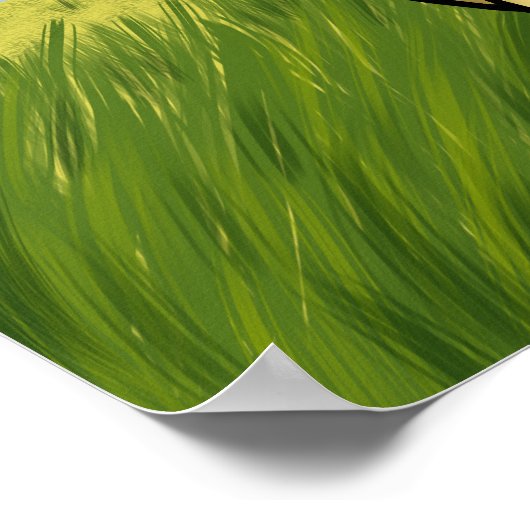 Ka Kuna Poster (Ecke)