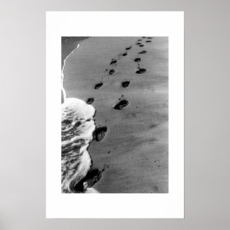 Ka'anapali Beach Poster